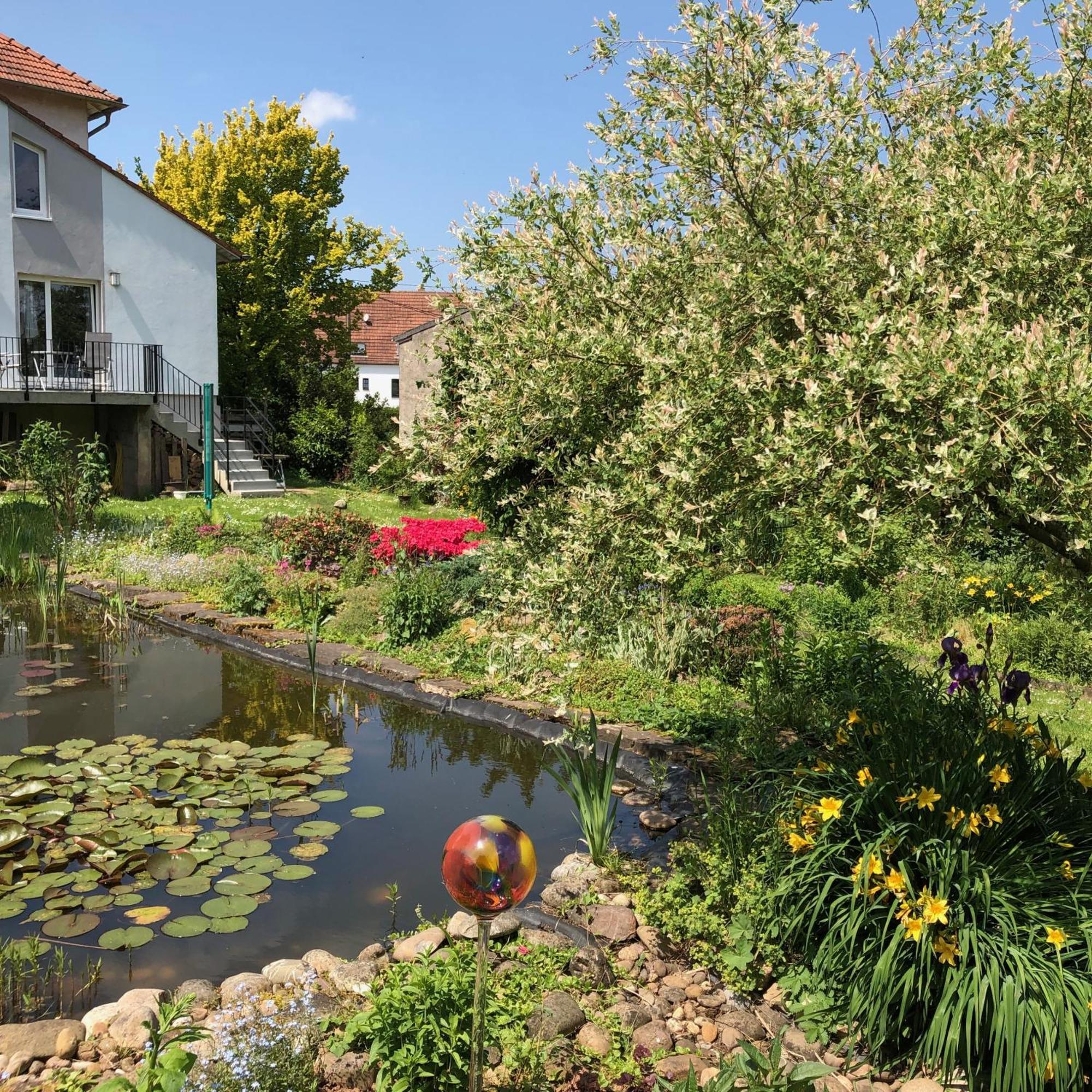 Ferienwohnung Maurer Hasborn-Dautweiler Экстерьер фото