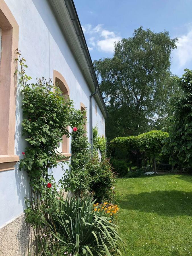 Ferienwohnung Maurer Hasborn-Dautweiler Экстерьер фото
