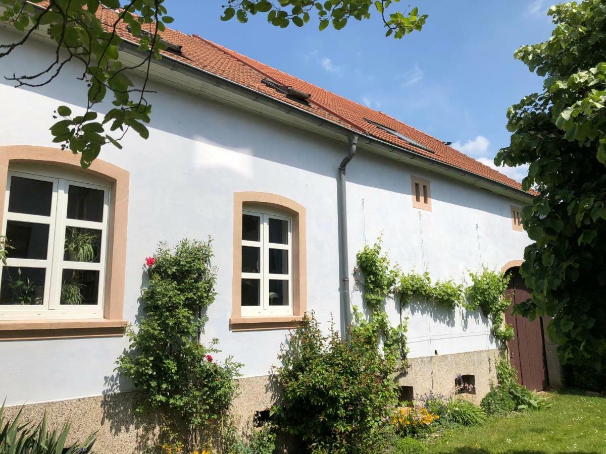 Ferienwohnung Maurer Hasborn-Dautweiler Экстерьер фото